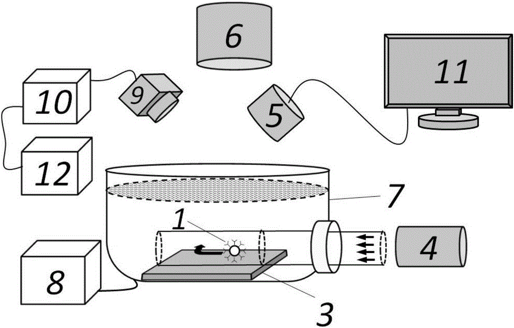 Method for capturing and screening particle above topological insulator substrate in tunable manner through linearly-polarized planar optical wave