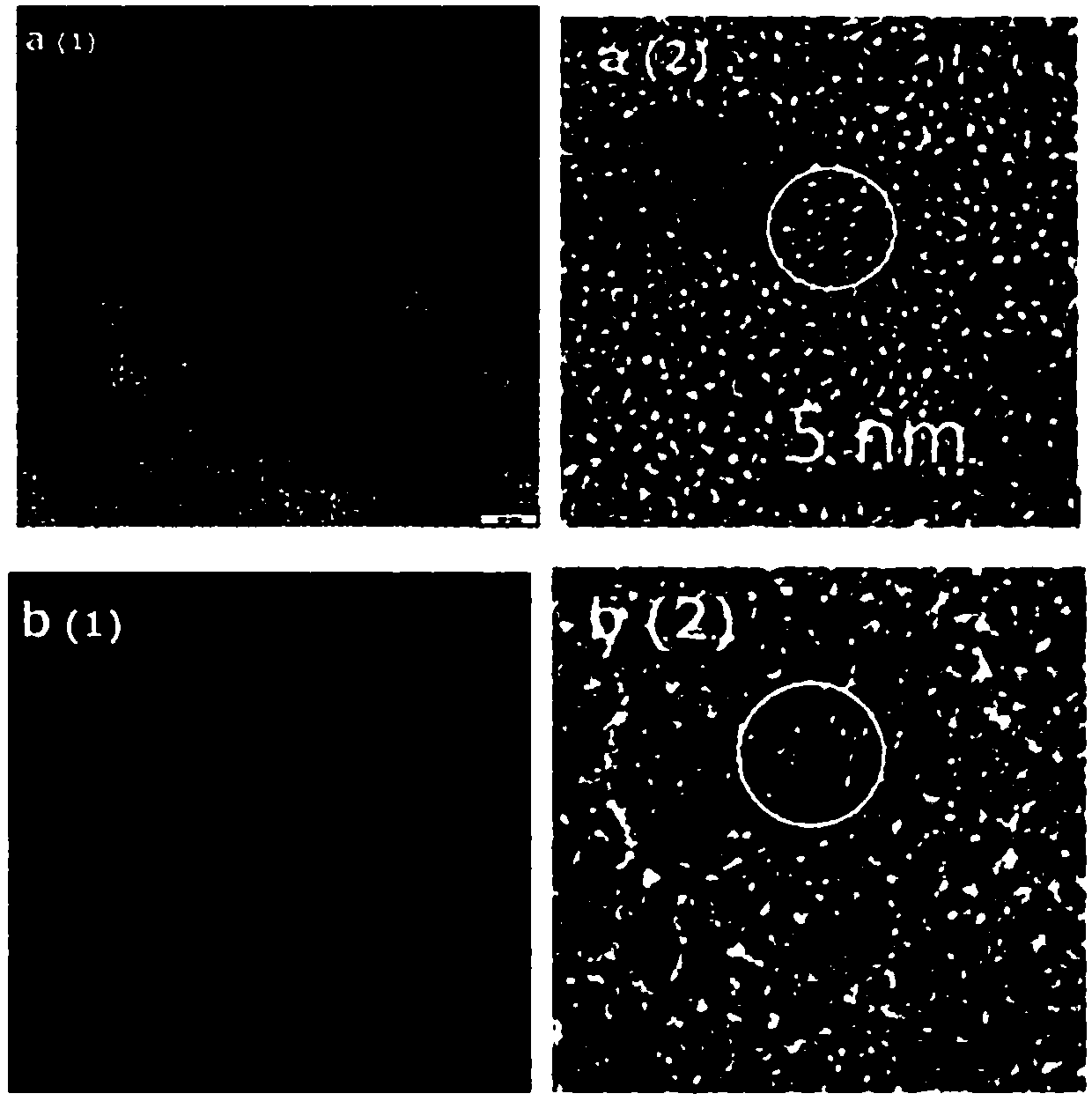 High-fluorescent brightness quantum dot composite particle, immunological detection probe and preparation method of high-fluorescent brightness quantum dot composite particle