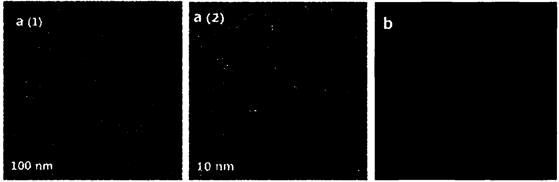 High-fluorescent brightness quantum dot composite particle, immunological detection probe and preparation method of high-fluorescent brightness quantum dot composite particle