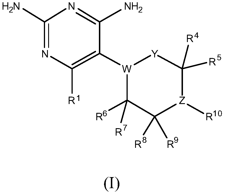 Dhfr inhibitors, compositions, and methods related thereto