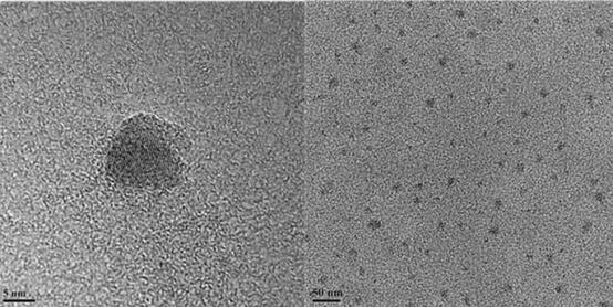 Preparation method of carbon quantum dot composite material taking terbium-doped sunflower stem pith as carbon source