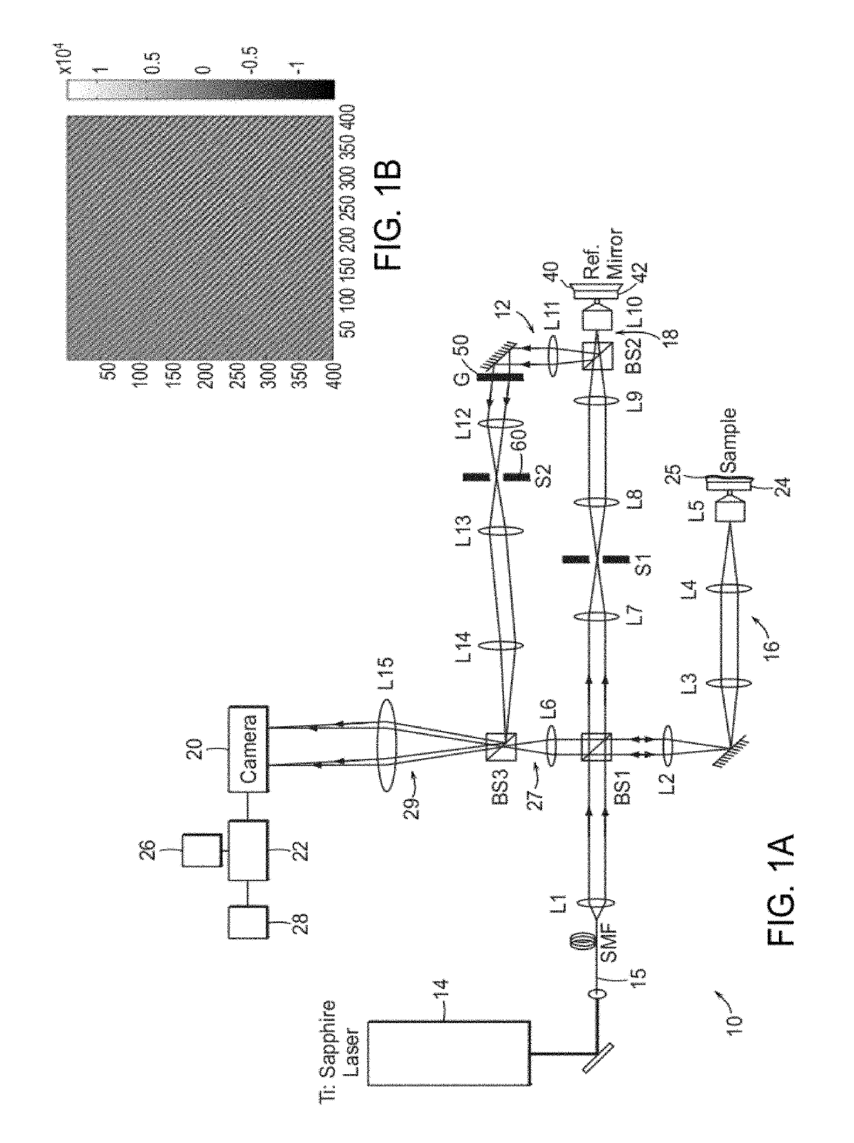 Single shot full-field reflection phase microscopy