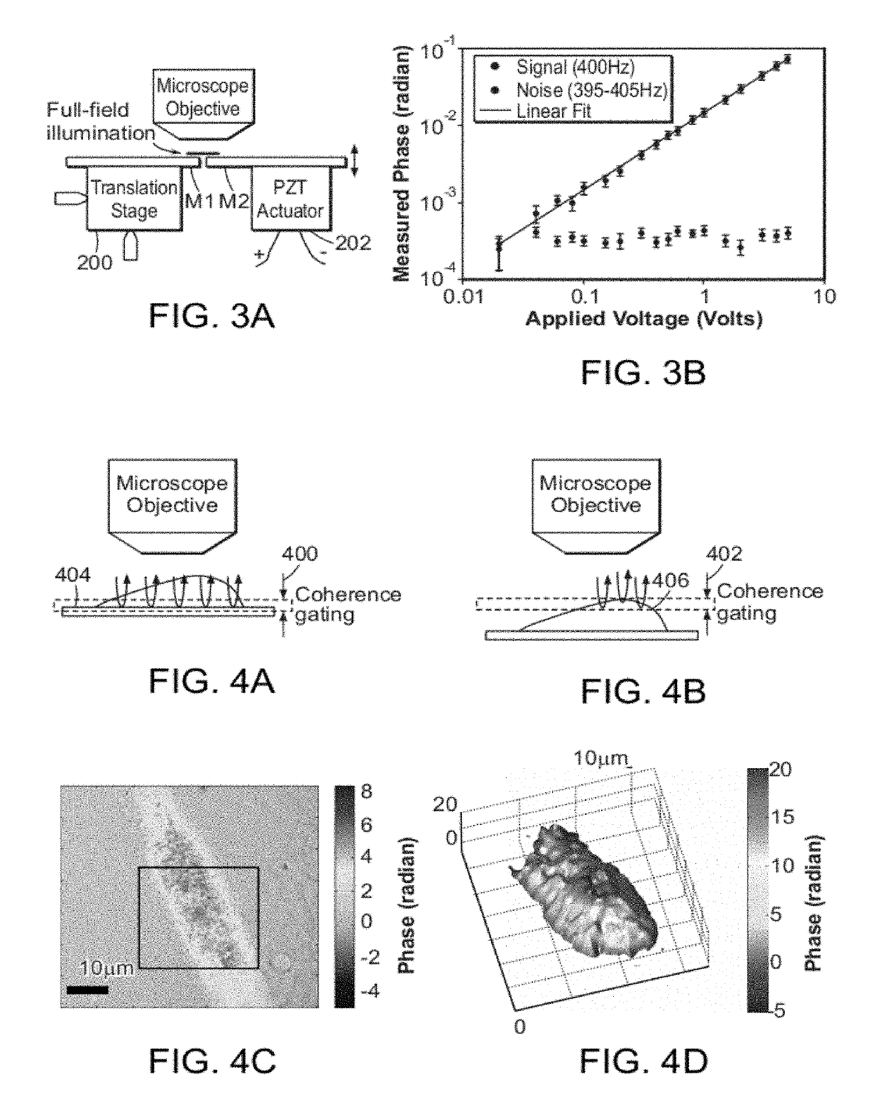 Single shot full-field reflection phase microscopy