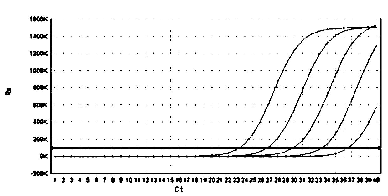 A multiplex fluorescent quantitative PCR detection kit for vancomycin-resistant enterococci and its detection method