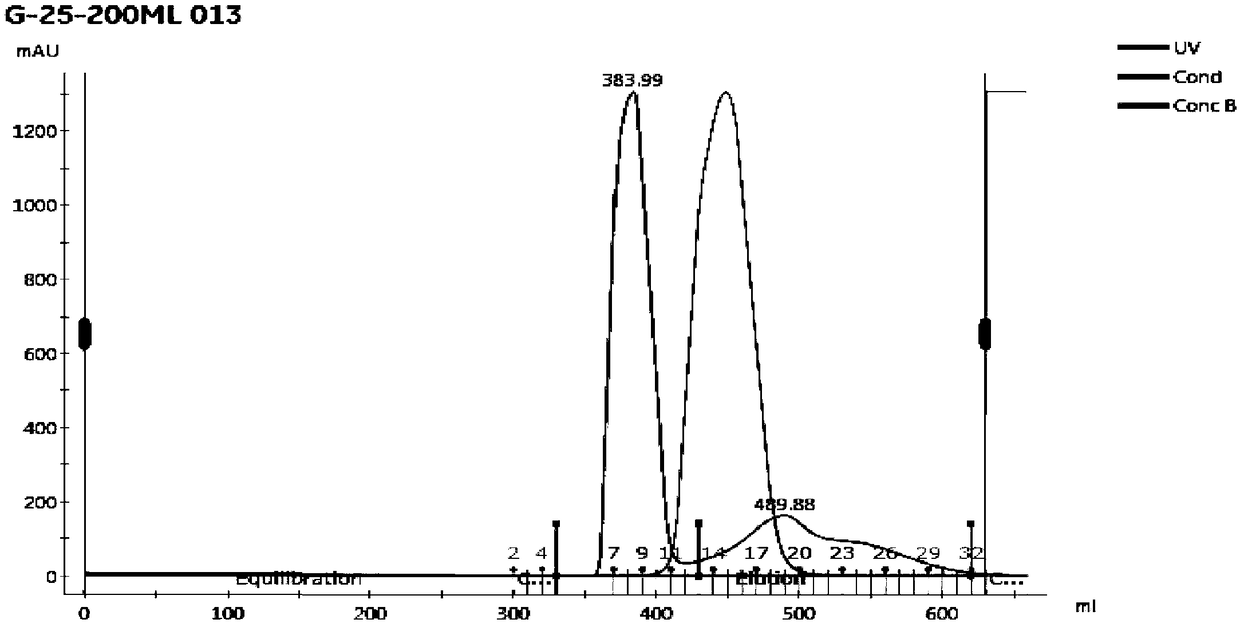 Preparation method of natural Sipunculus fibrinolysin and application thereof