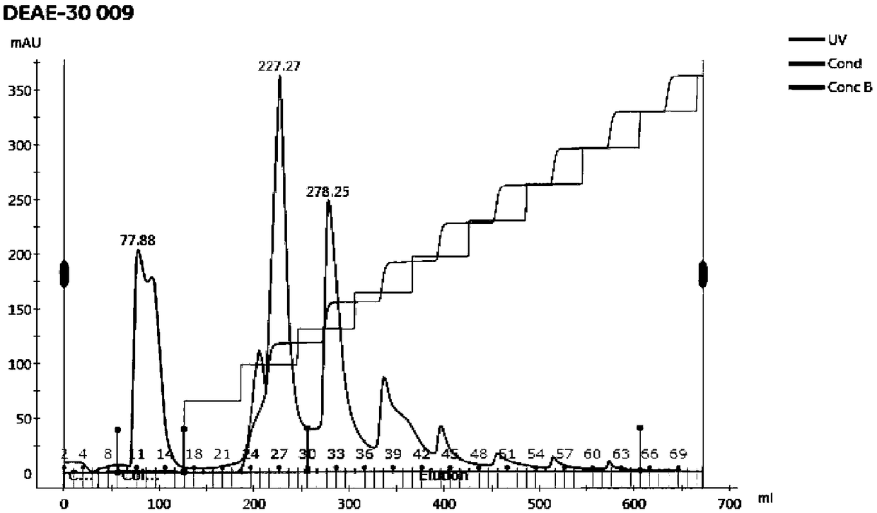 Preparation method of natural Sipunculus fibrinolysin and application thereof