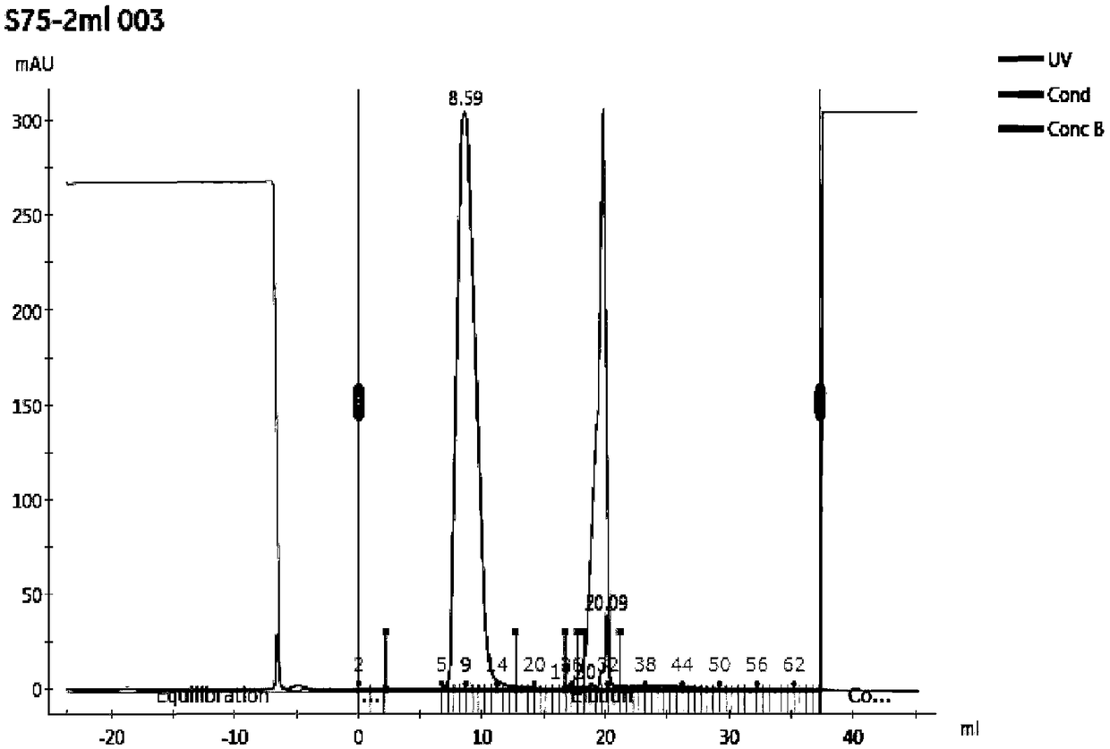 Preparation method of natural Sipunculus fibrinolysin and application thereof