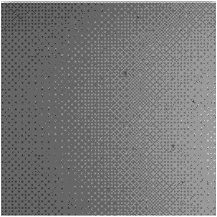 Method for improving surface microdefects of Si modified layer of large-diameter SiC mirror