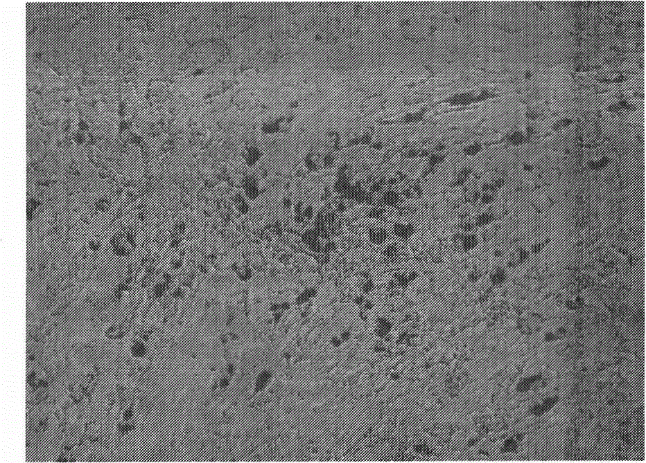 Tissue engineered breast transplant and constructing method thereof