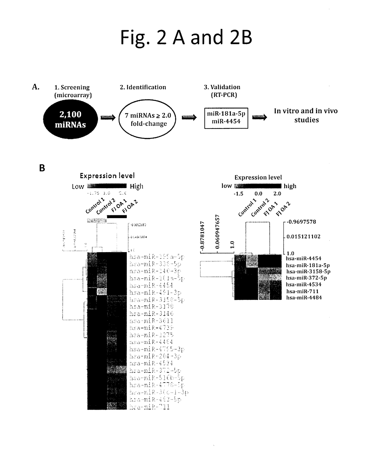 Mirna biomarkers for cartilage degeneration