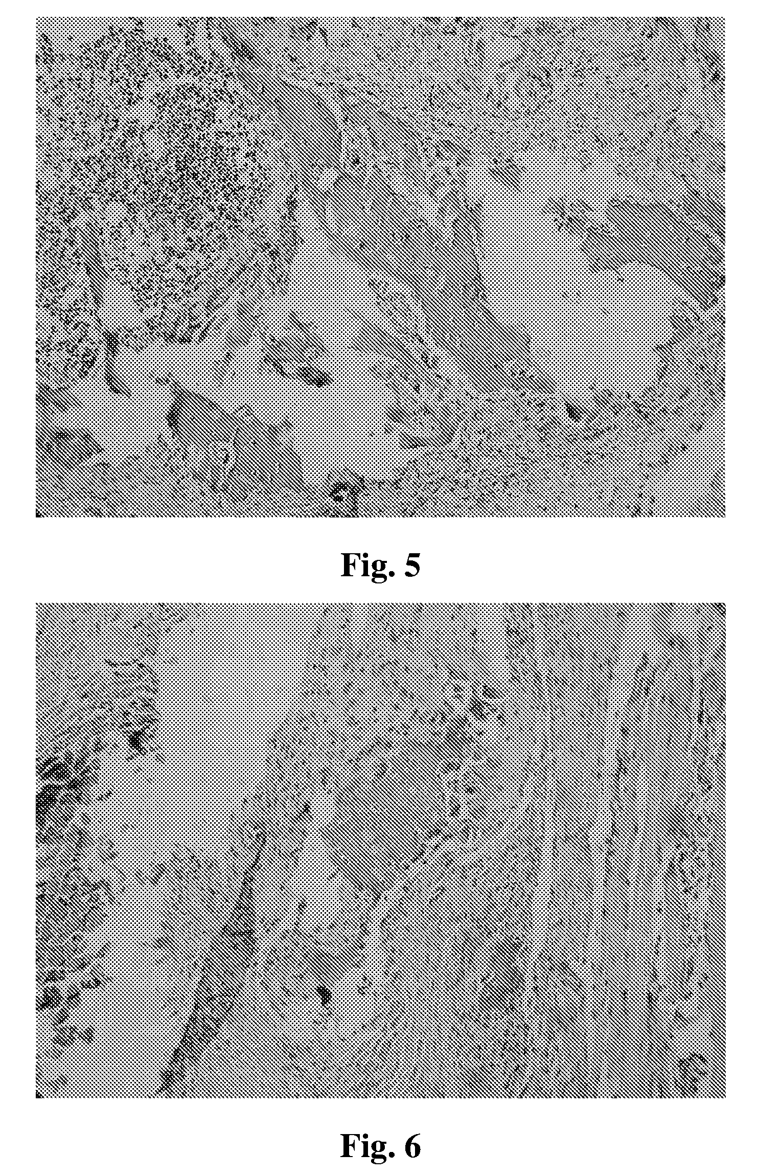 Bioactive peptide of bone morphogenetic protein-2