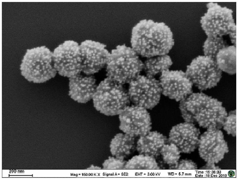 An electrochemical immunosensor for detecting secreted autophagosomes and its preparation method and application