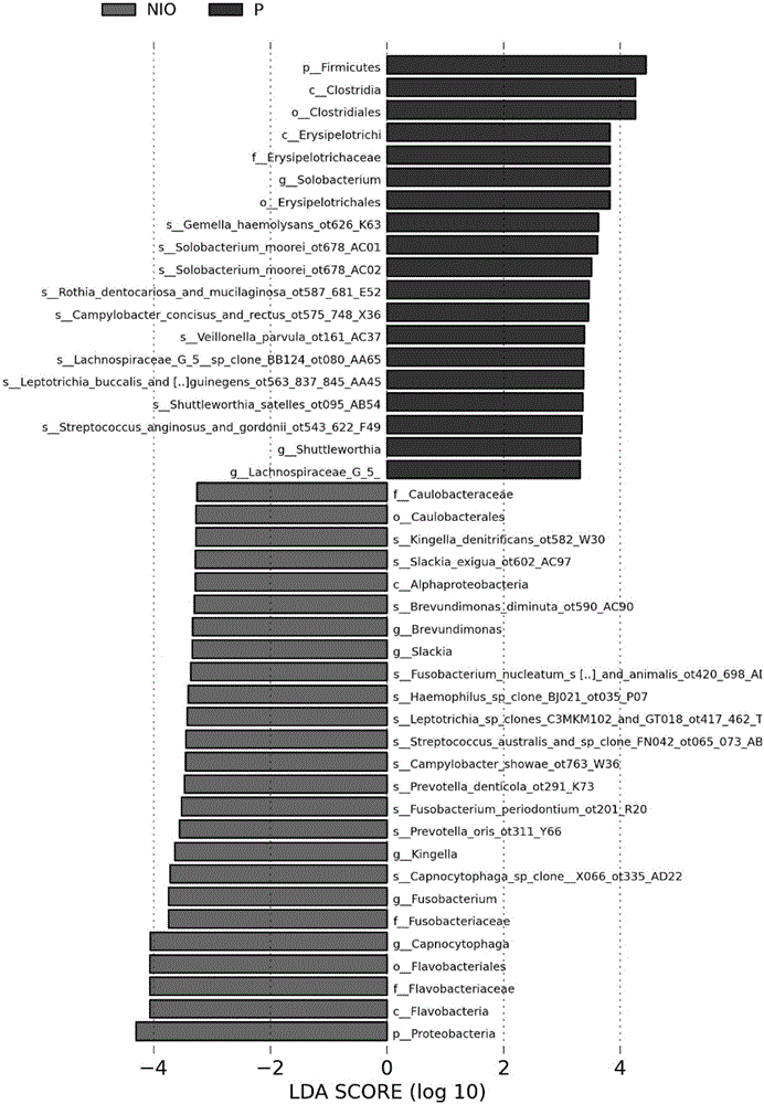 Analysis method for diversity of oral cavity flora and disease-associated flora marker