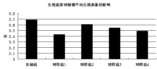 Simple cutting propagation method of Zelkova serrata