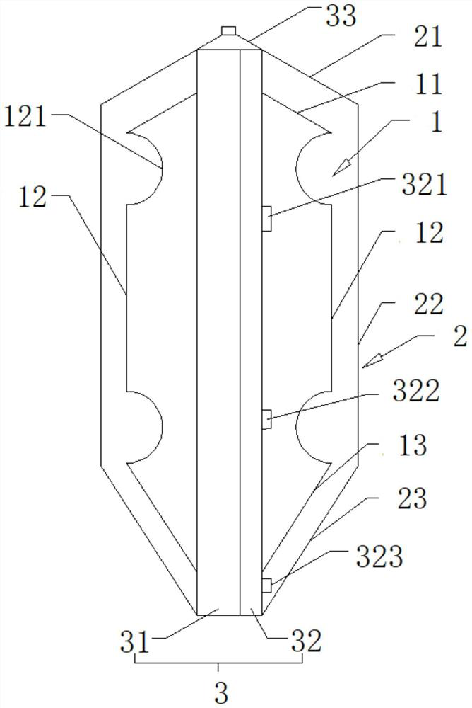 Dual balloon capable of accurately positioning and expanding