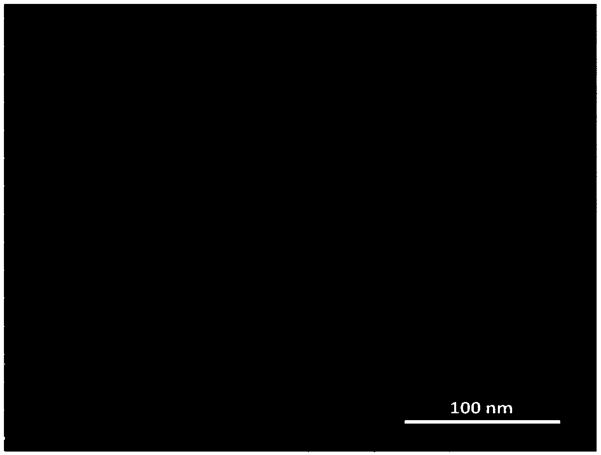 Epigallocatechin-gallate nano slow-release preparation and preparation method thereof