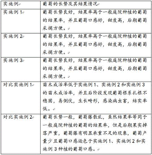 Grape planting method convenient for picking