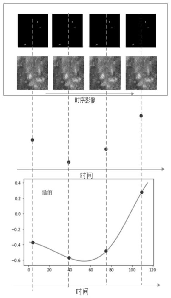 Planting plot grain and oil crop type step-by-step identification method