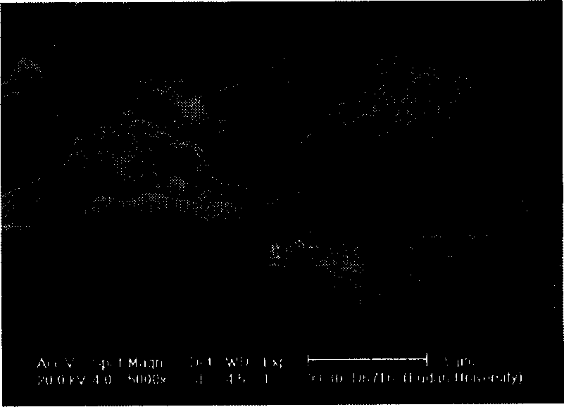 Molecular sieve catalyst containing pores in tungsten media utilized for synthesizing glutaraldehyde and its preparation method