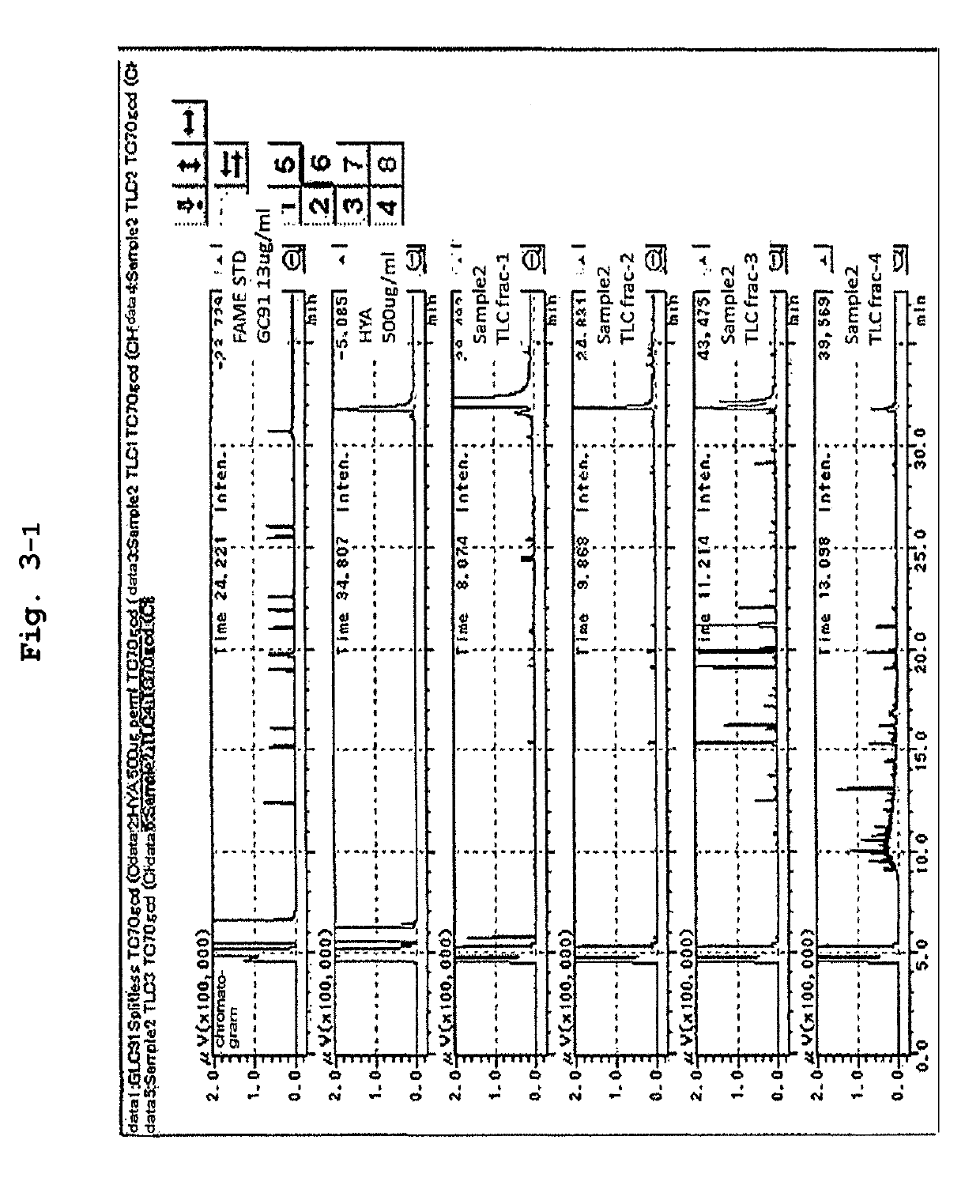 Triglyceride and use thereof