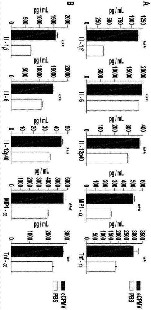 Cancer immunotherapy using virus particles