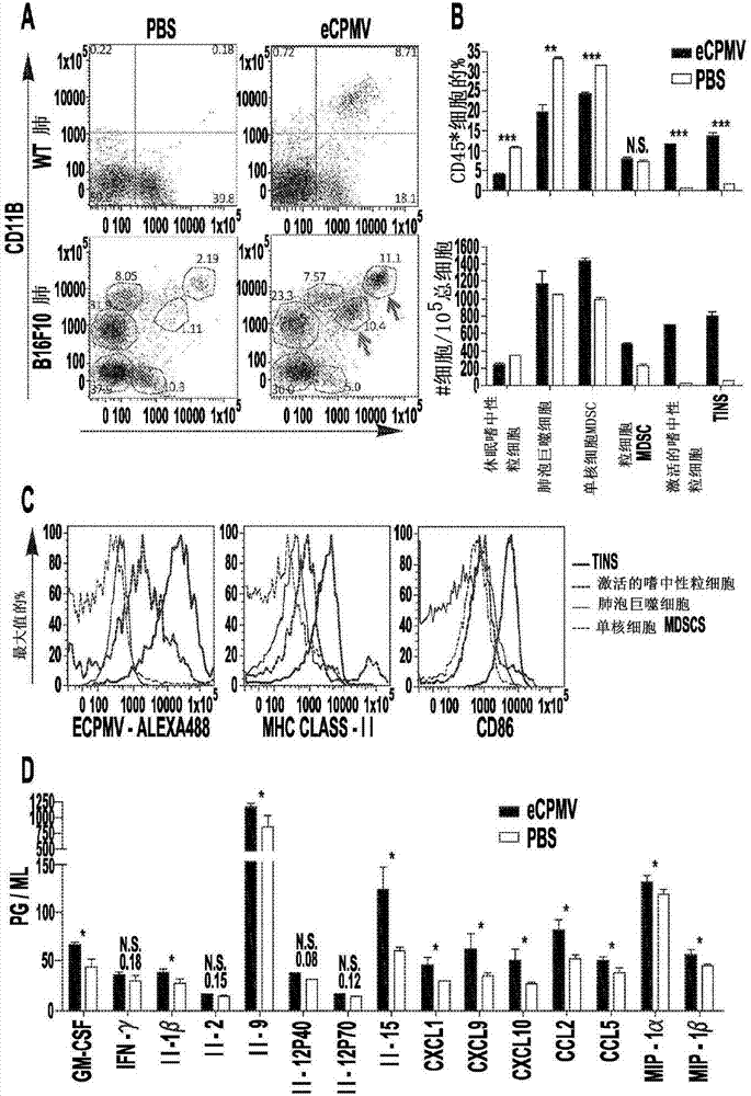 Cancer immunotherapy using virus particles