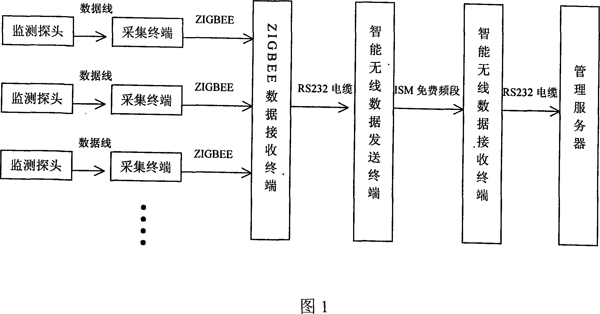 Remote wireless monitoring system