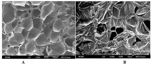 A kind of citrus peel filter rod porous material and its preparation method and application