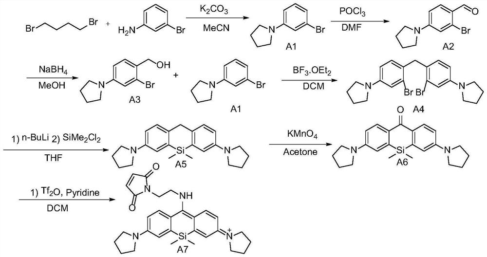 Silicon-based rhodamine fluorescent staining reagent as well as preparation method and application thereof