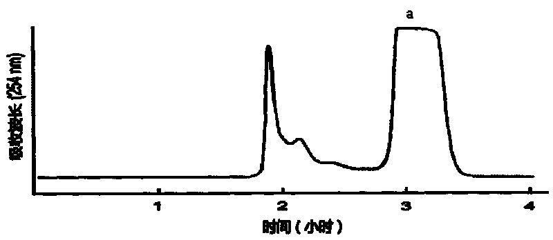 Method for separating and preparing echinacoside in herba cistanche