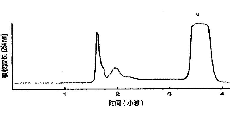 Method for separating and preparing echinacoside in herba cistanche