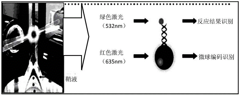 Liquid-phase chip kit for screening seven virulence genes of streptococcus suis