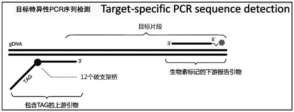 Liquid-phase chip kit for screening seven virulence genes of streptococcus suis