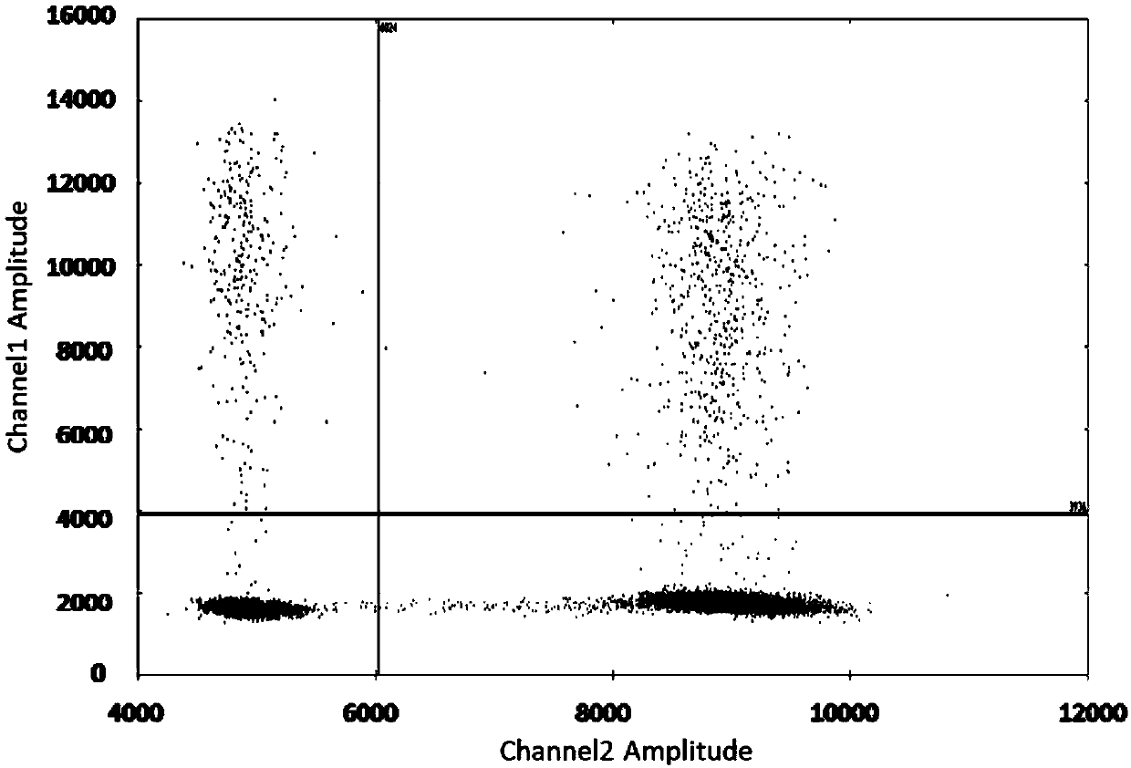 Method for detecting ARMS-ddPCR (amplification refractory mutation system-droplet digital polymerase chain reaction) gene site-directed mutation