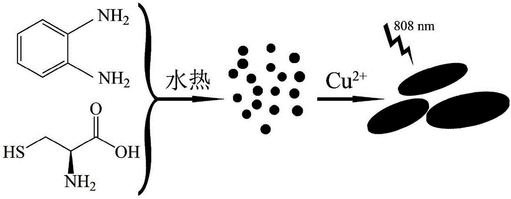 Application and synthesis method of copper-containing photo-thermal nano material