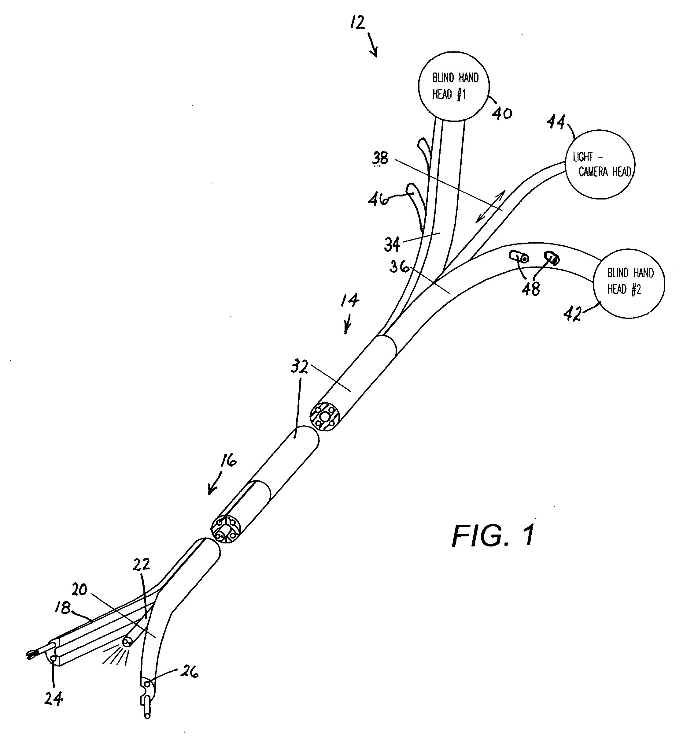 Endoscope having multiple working segments