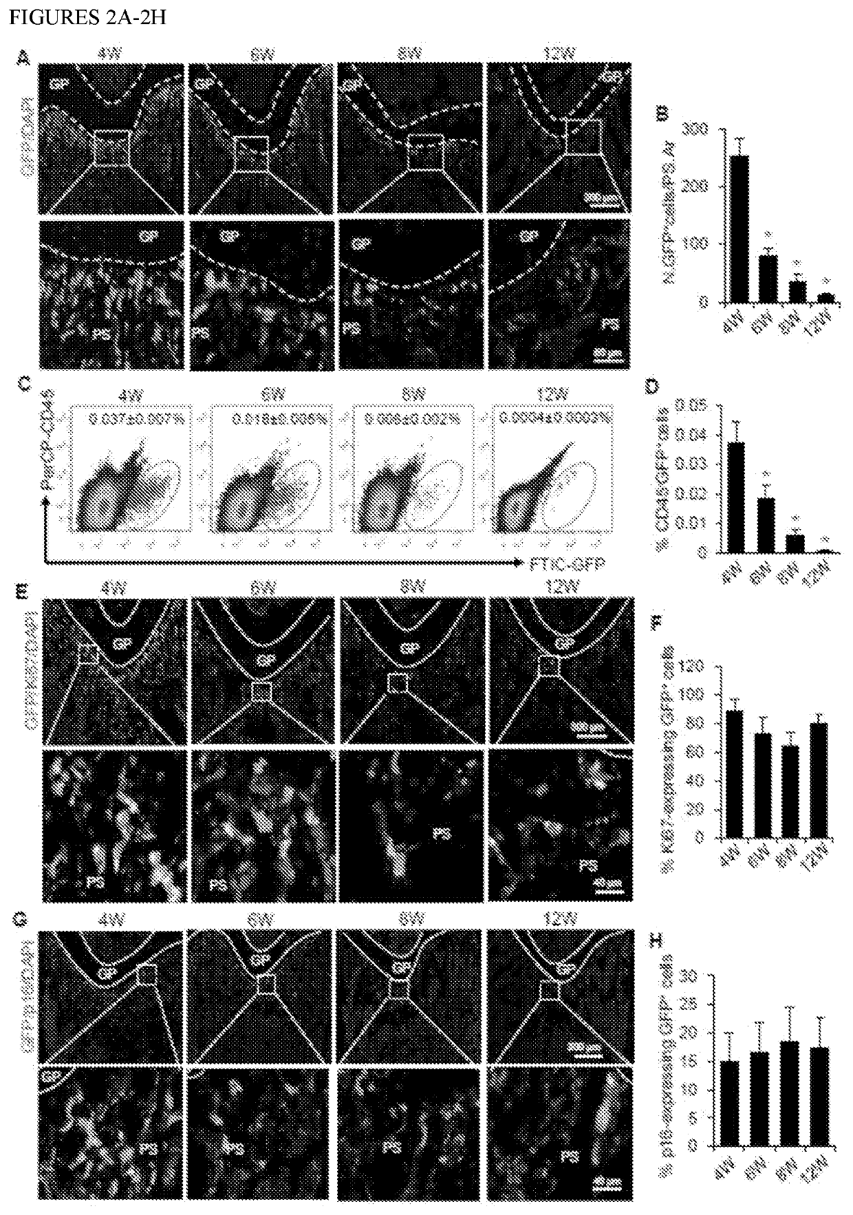 H3k27 demethylase inhibitors in pediatric and juvenile osteoporosis