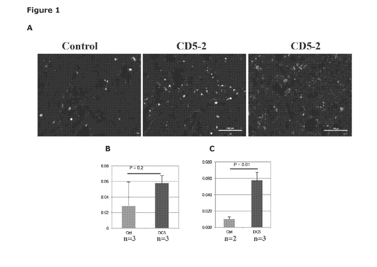 Methods for treating tumors