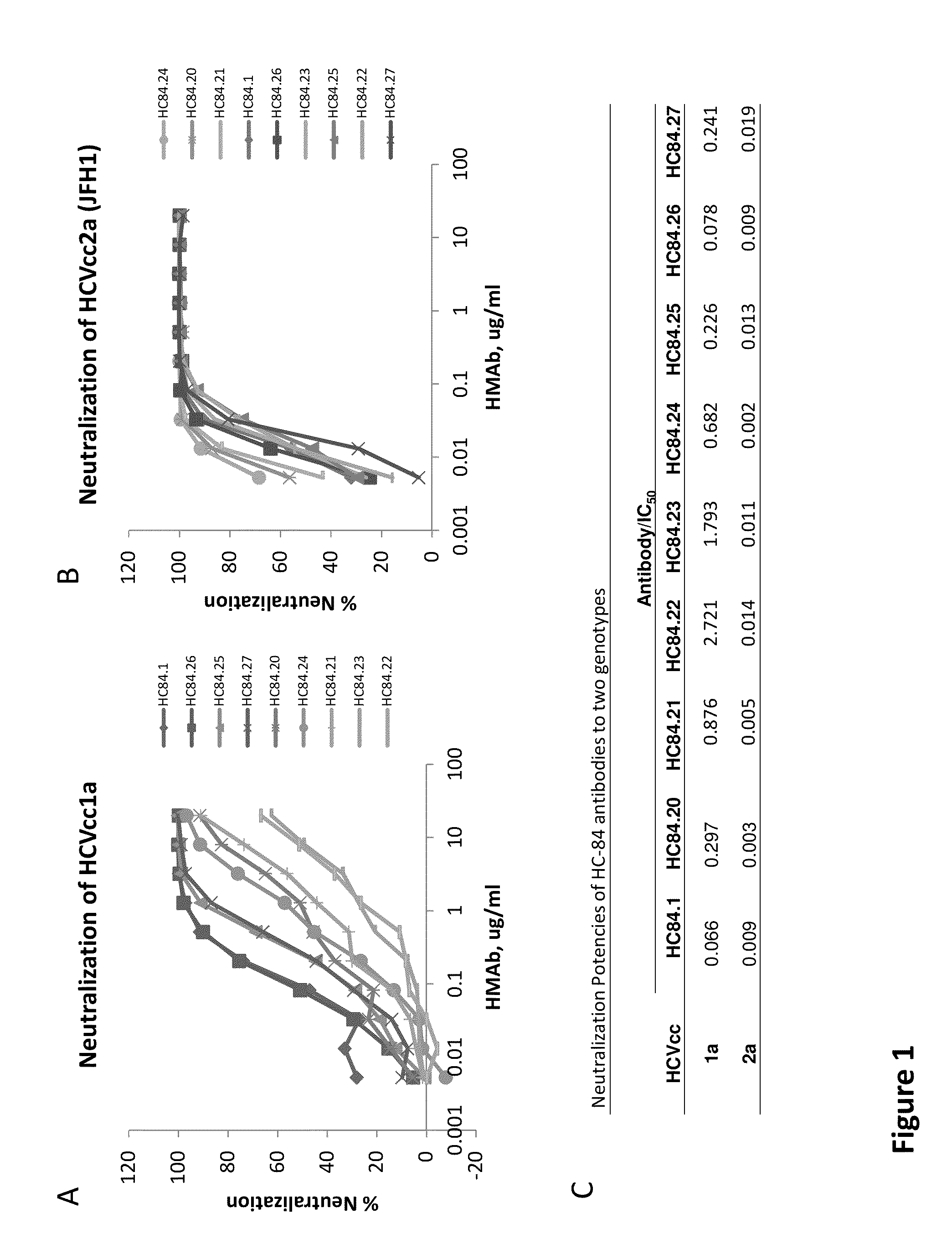 Cluster of Neutralizing Antibodies to Hepatitis C Virus