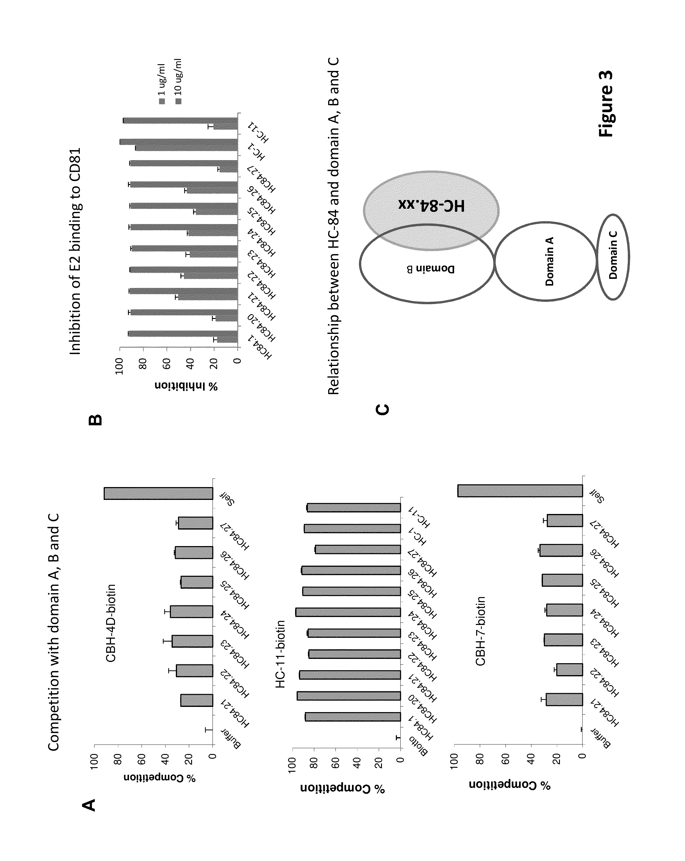 Cluster of Neutralizing Antibodies to Hepatitis C Virus