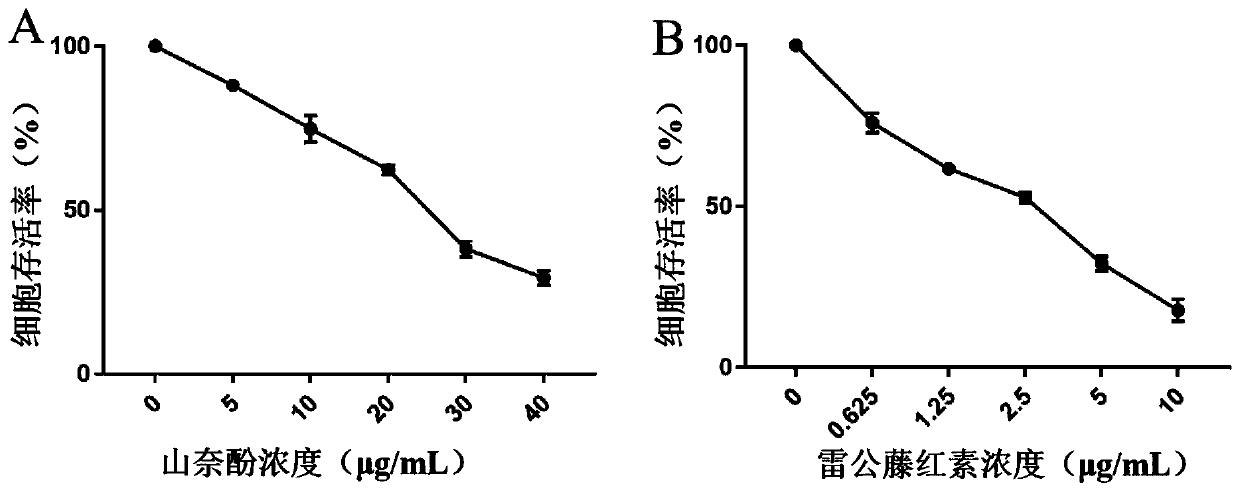 Pharmaceutical composition used for treating ovarian cancer and application thereof