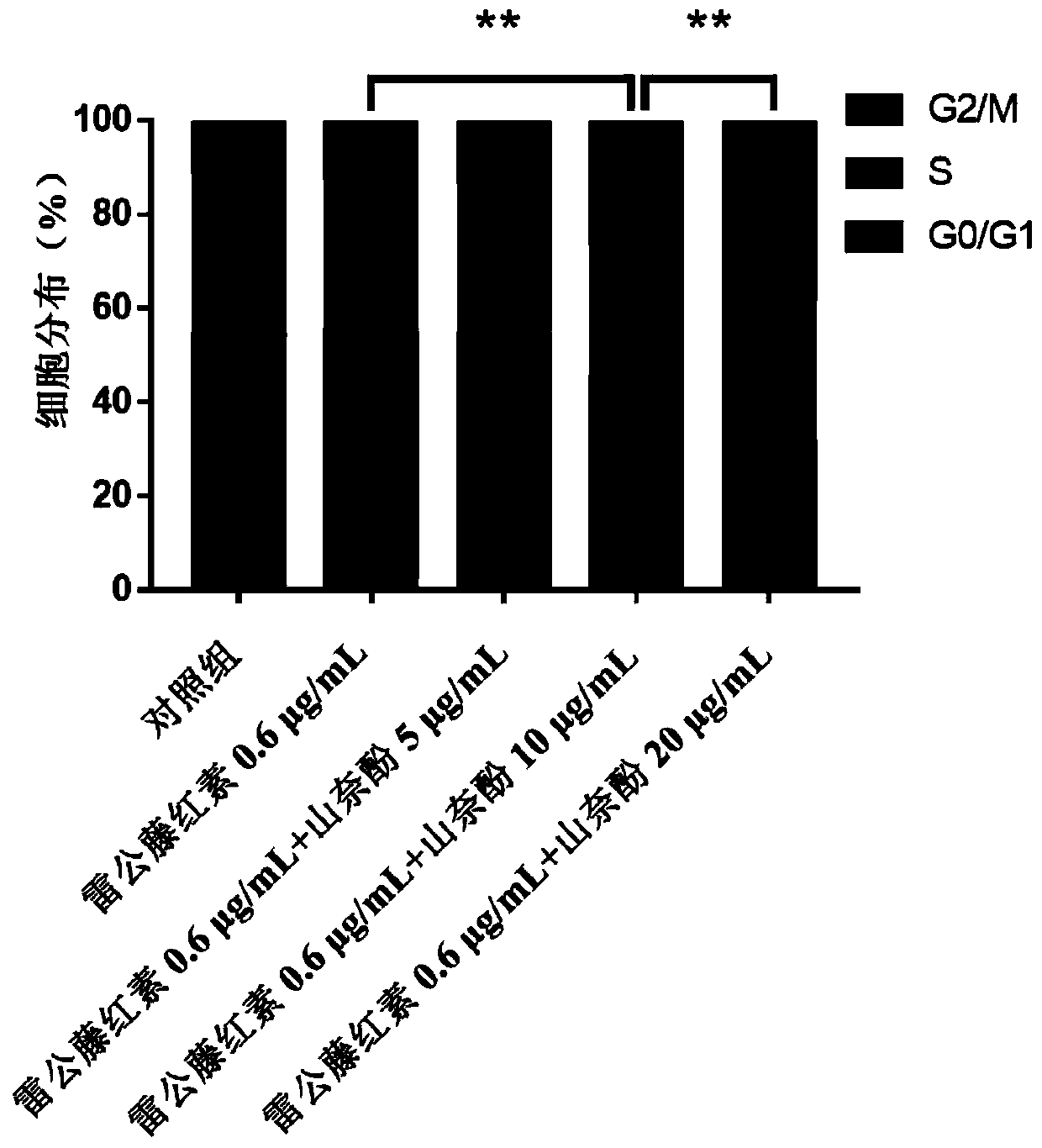 Pharmaceutical composition used for treating ovarian cancer and application thereof