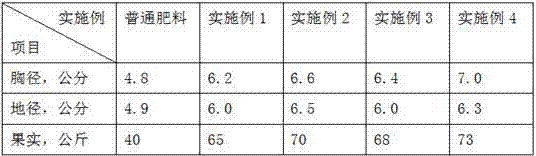 Canarium pimela sustained-release fertilizer and preparation method of same