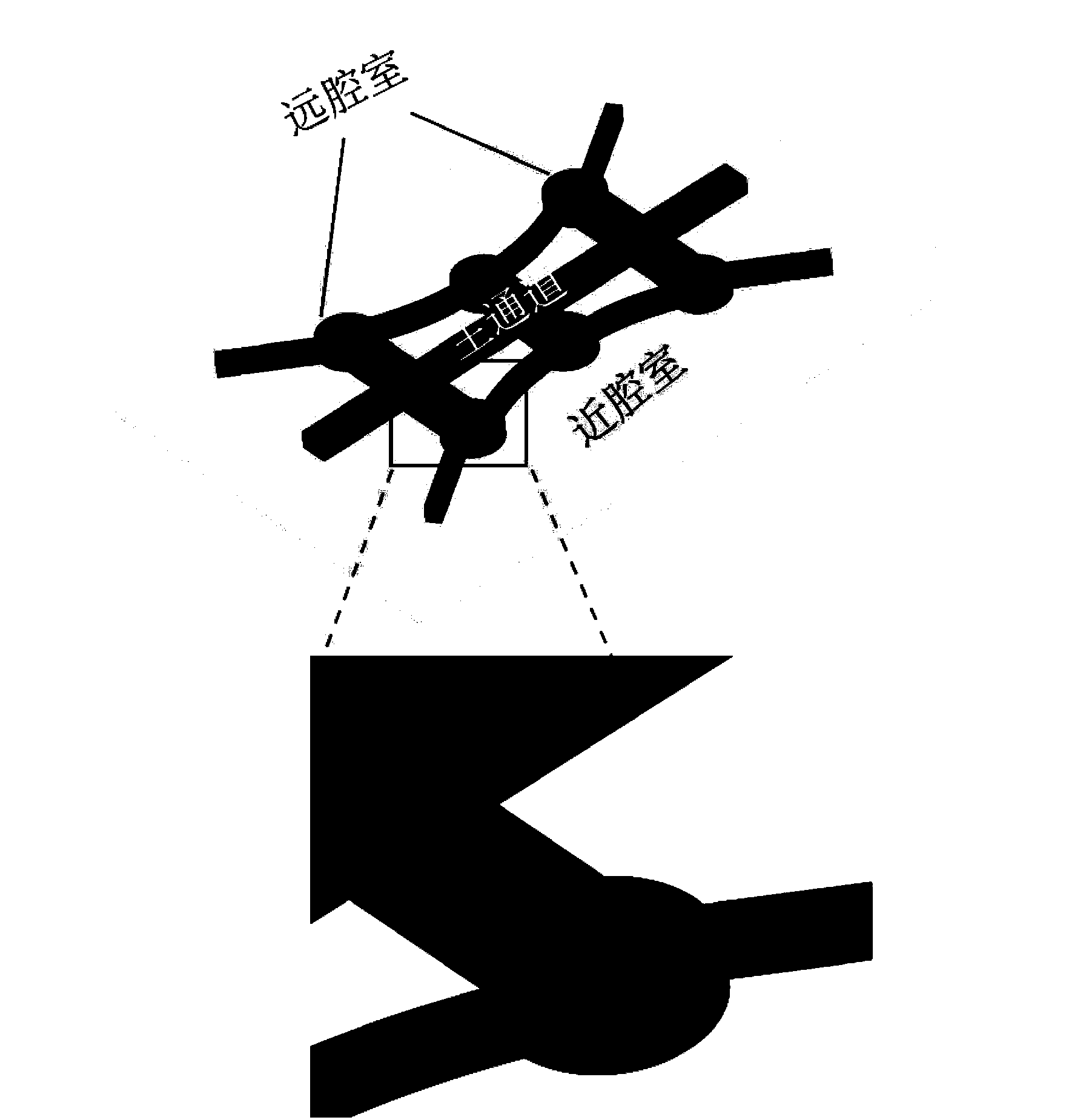 Microfluidic chip apparatus and application thereof