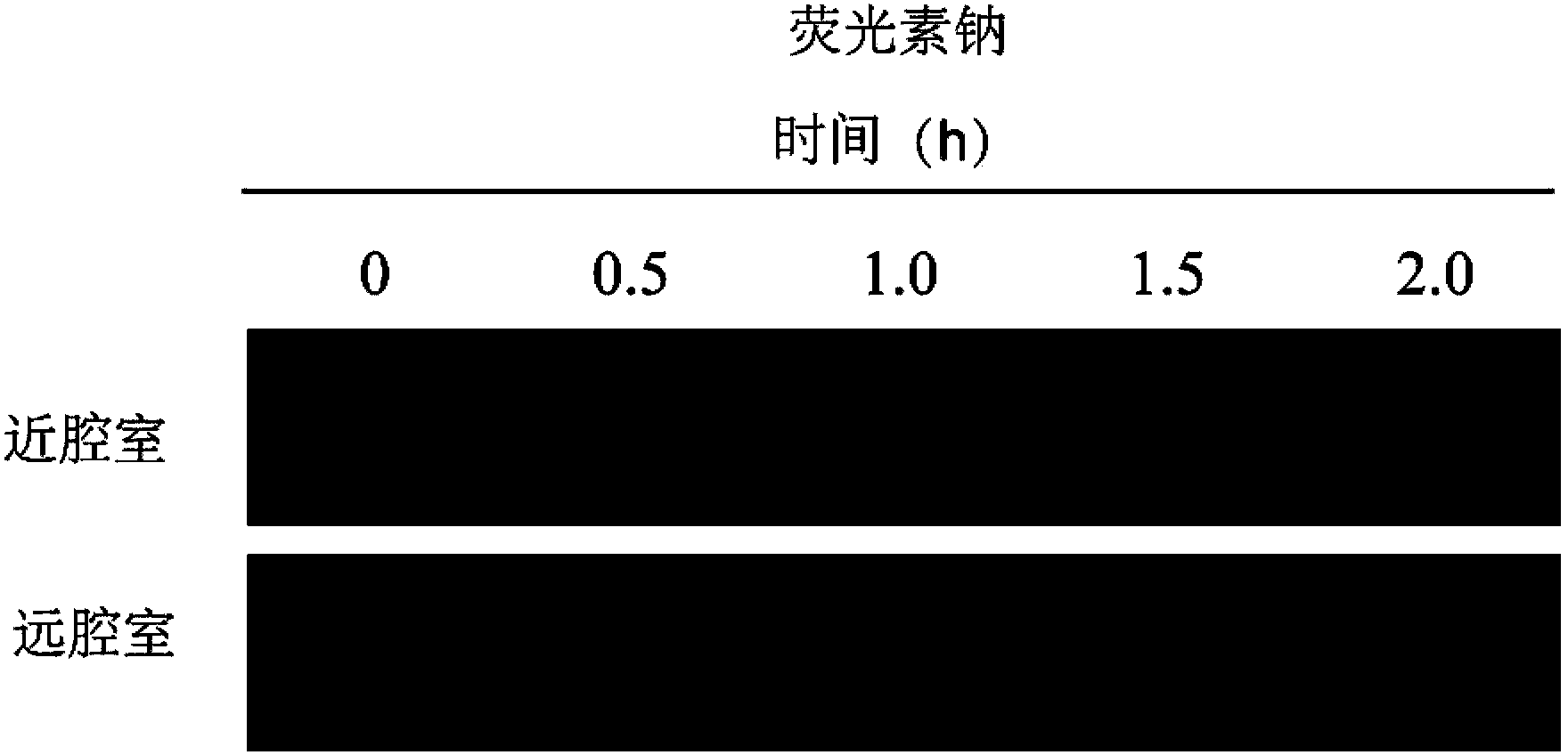 Microfluidic chip apparatus and application thereof