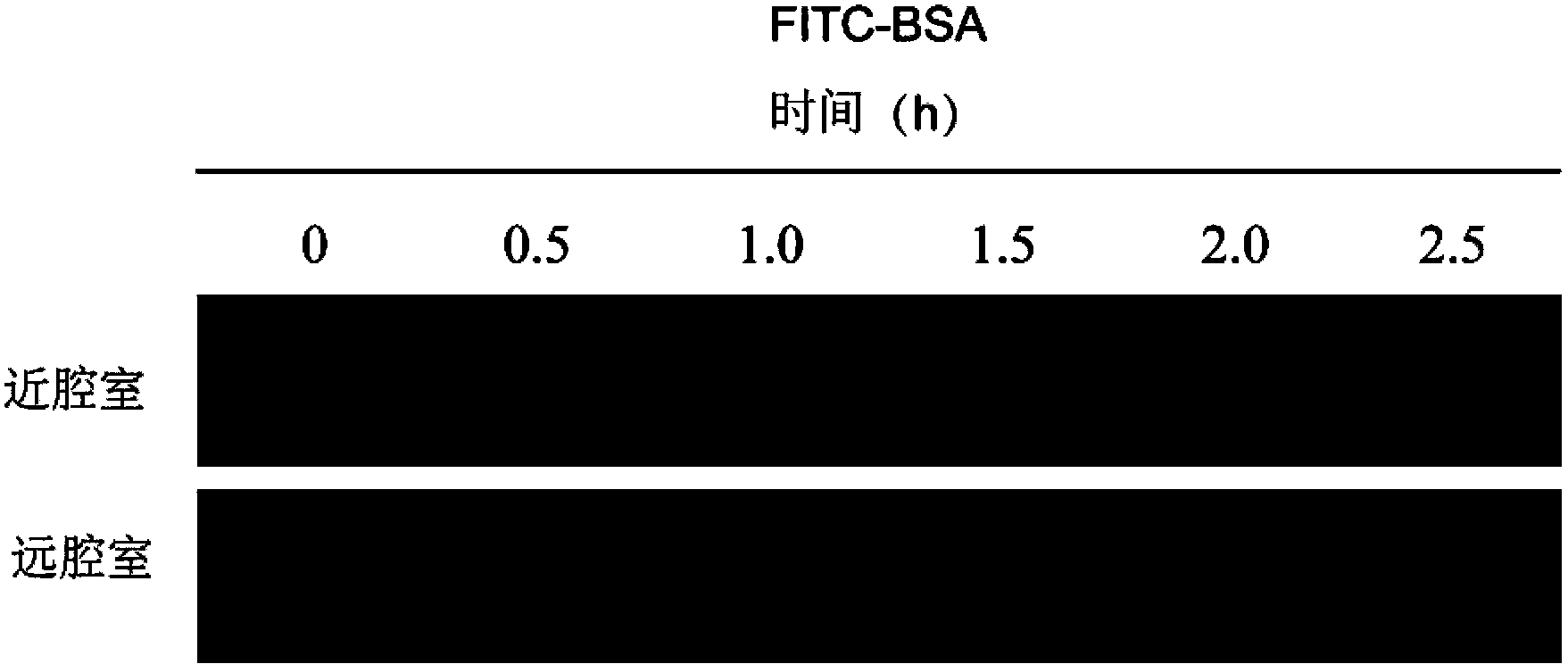 Microfluidic chip apparatus and application thereof