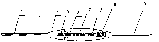 Float capable of adjusting flotage accurately