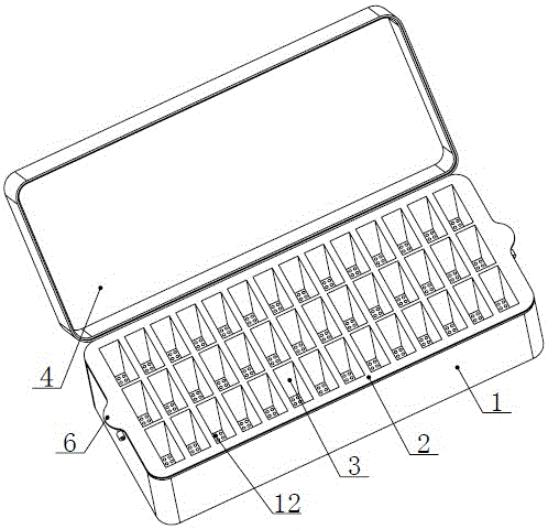 A large seed germination box