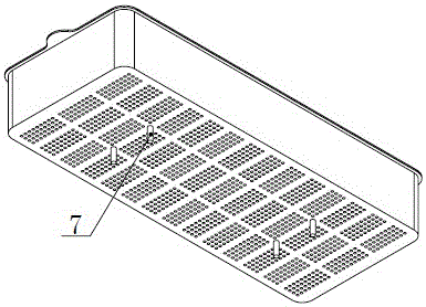 A large seed germination box