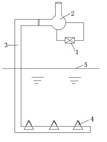 Fish pond oxygen delivery device